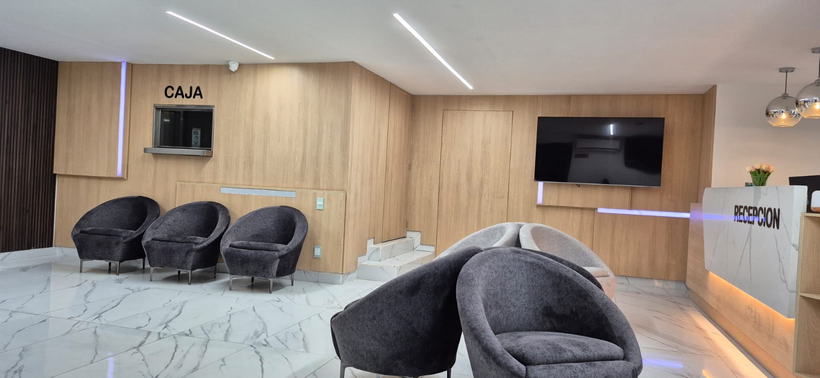 Panorámica de sala de espera y recepción realizada por CarpyMobi
